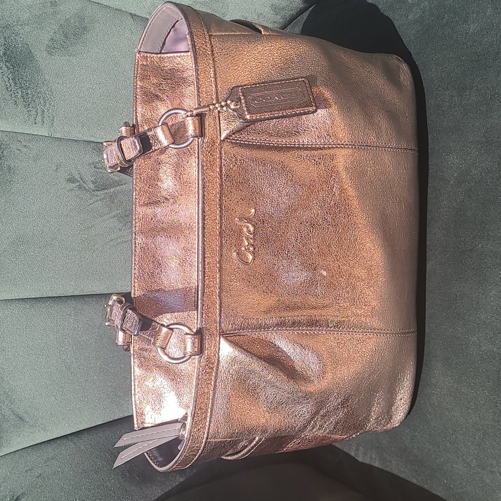 Coach Silver Leather Purse